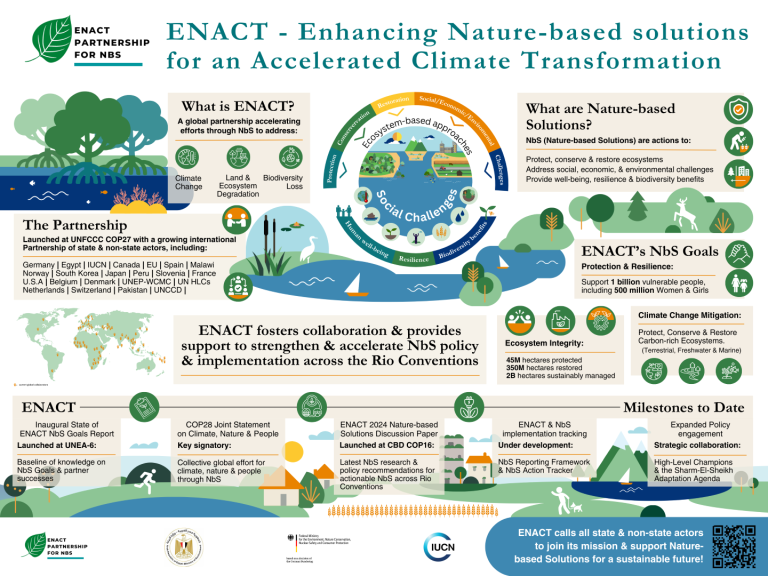 About Enact Partnership